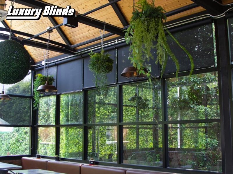 Rèm cuốn quán cafe